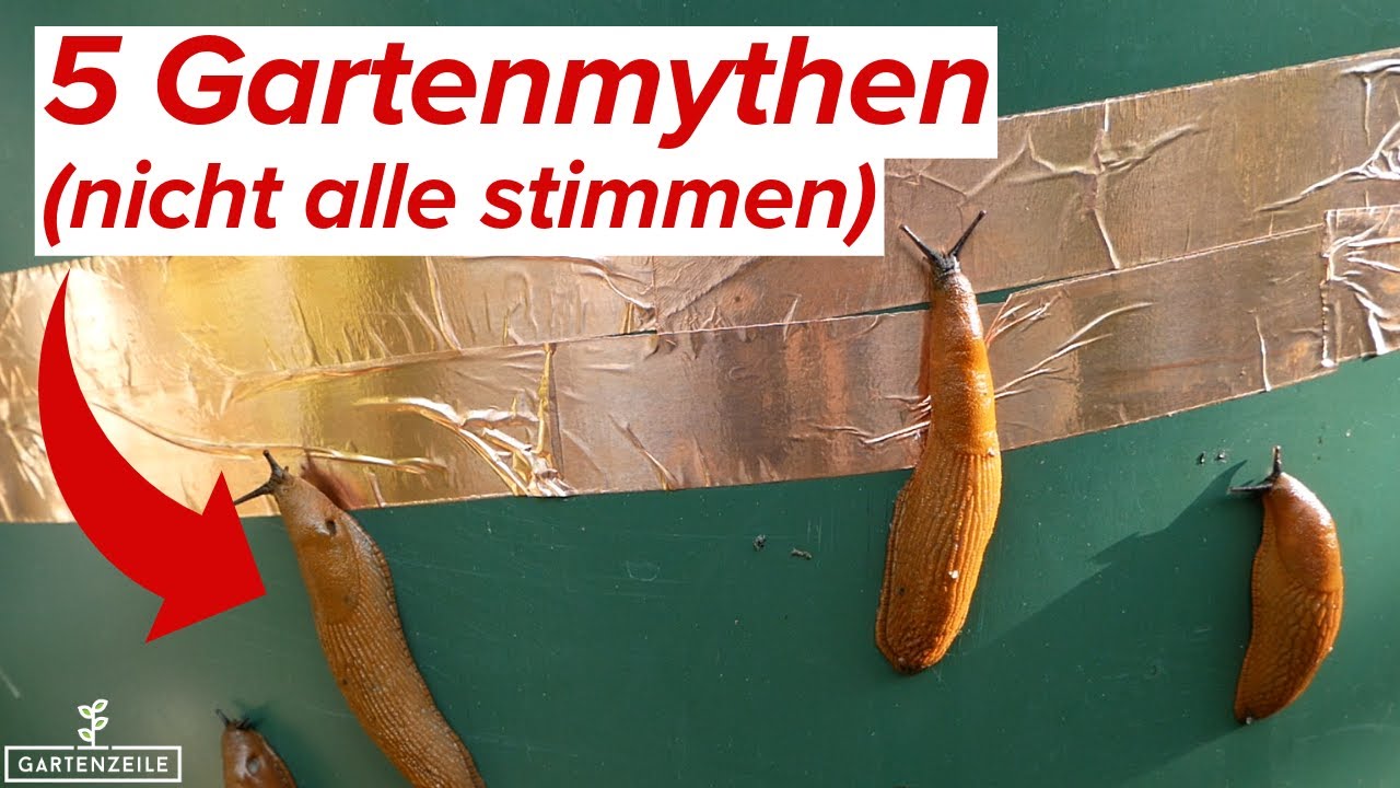 5 Gartenmythen | Wir klären auf! Nicht alles stimmt wirklich!