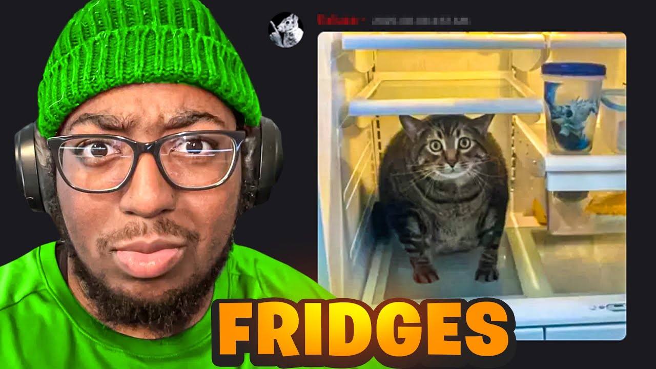 My Viewers Have The FUNNIEST Fridges 😭