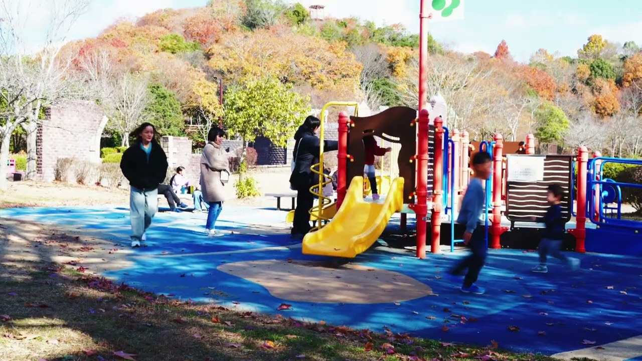 Nikon Z5ii video family test