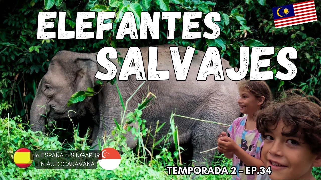 😲 Nunca imaginamos irnos así de Malasia💥 IMPRESIONANTE ruta  (T2 - E34)