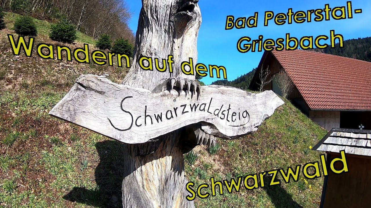 Schwarzwälder Wandersinfonie: Der Schwarzwaldsteig in Bad Peterstal-Griesbach 🥾