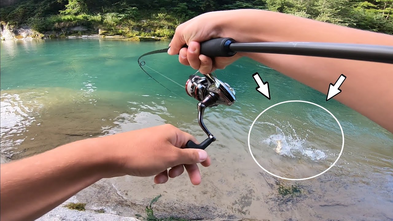 LE MARMORATE SI PRENDONO GIOCO DI NOI (TROTA TORRENTE)