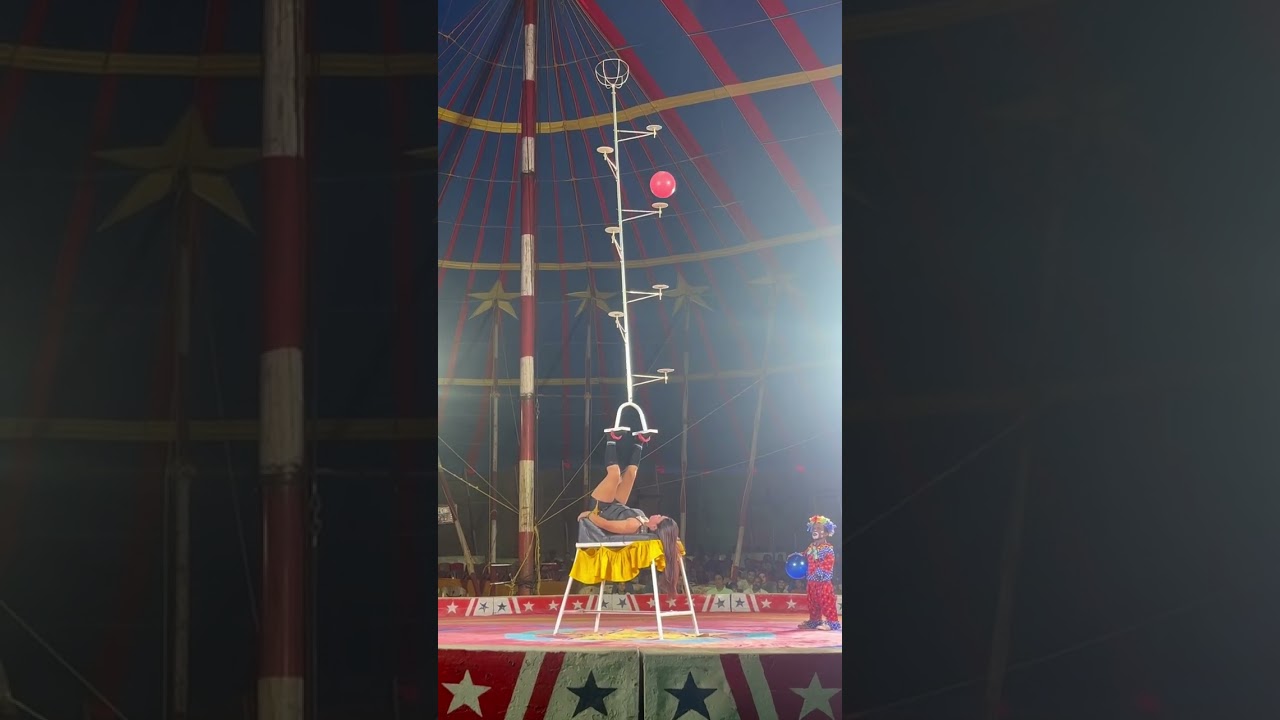Jumbo Circus 🤡