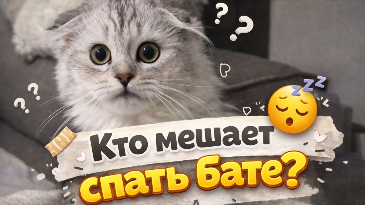 Кто мотает нервы ночью? 🤣