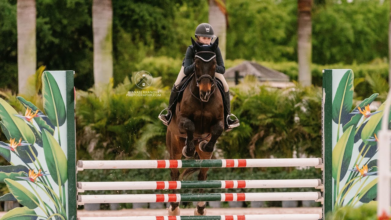 Nevin and Amendment 15 WEF 2019 