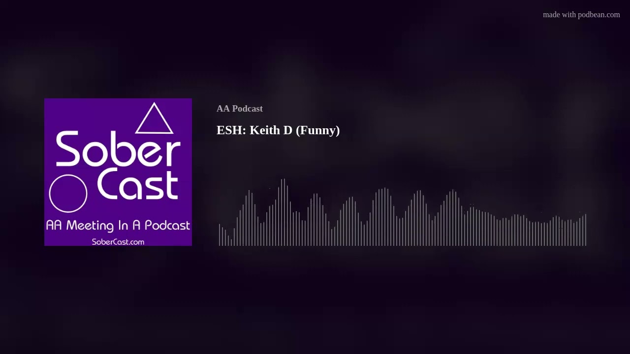 ESH: Keith D (Funny) - AA Speaker