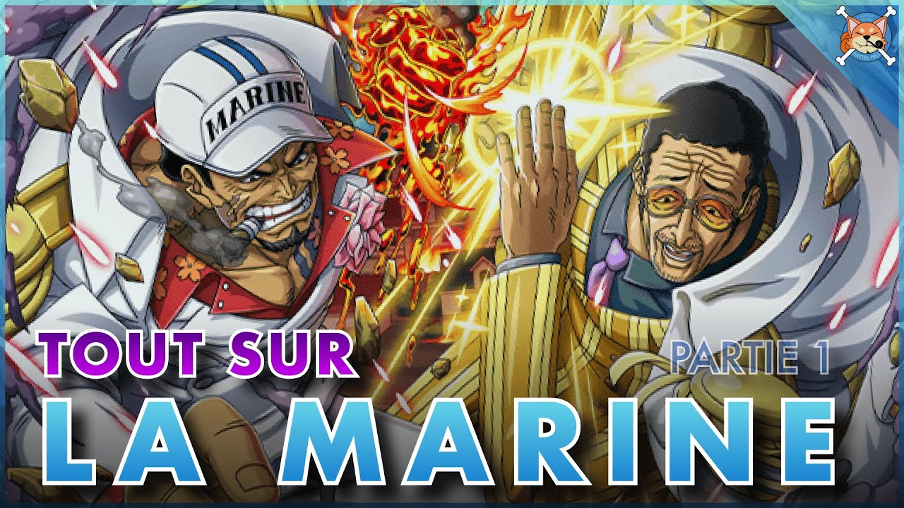 TOUT SAVOIR SUR LA MARINE ⚓️ ( Les grades et les soldats ! ) - partie 1 - One Piece Explication