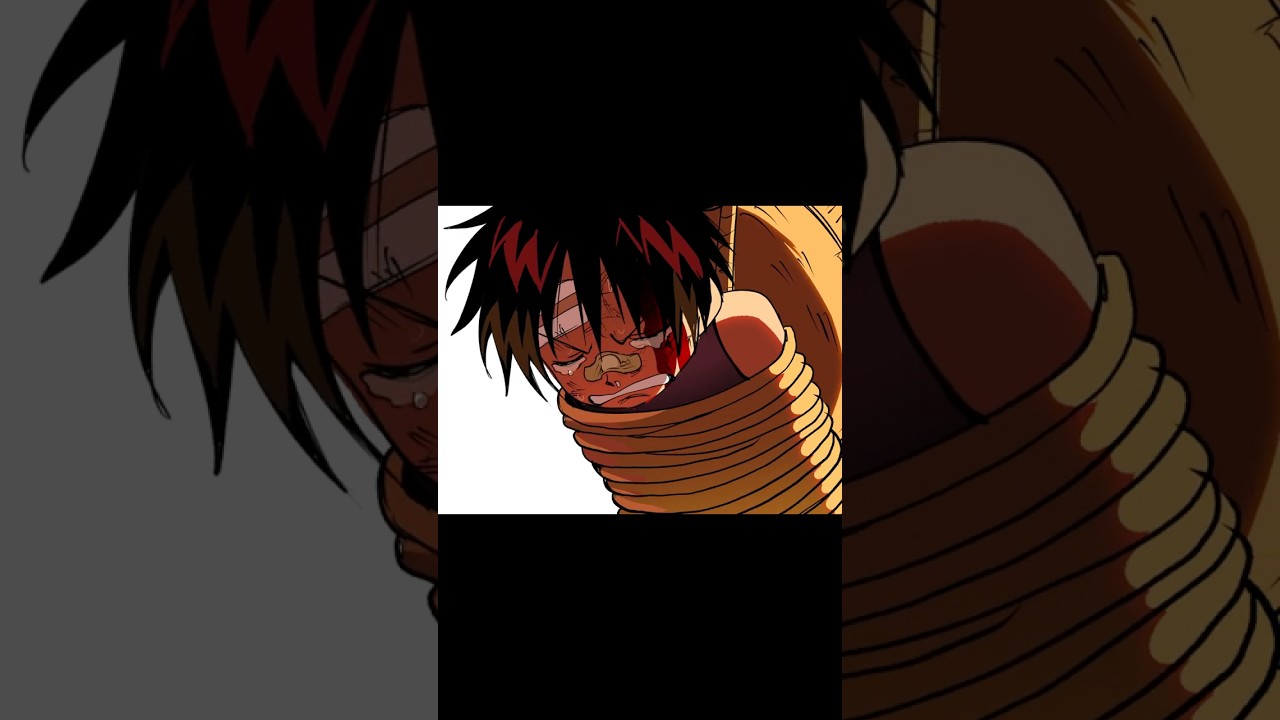 My children #onepiece #luffy #strawhats #animationmeme #animatic #alightmotion
