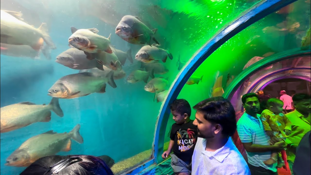 Dubai andur water fish 🐟 thanal alluvlog07#automobile #travel