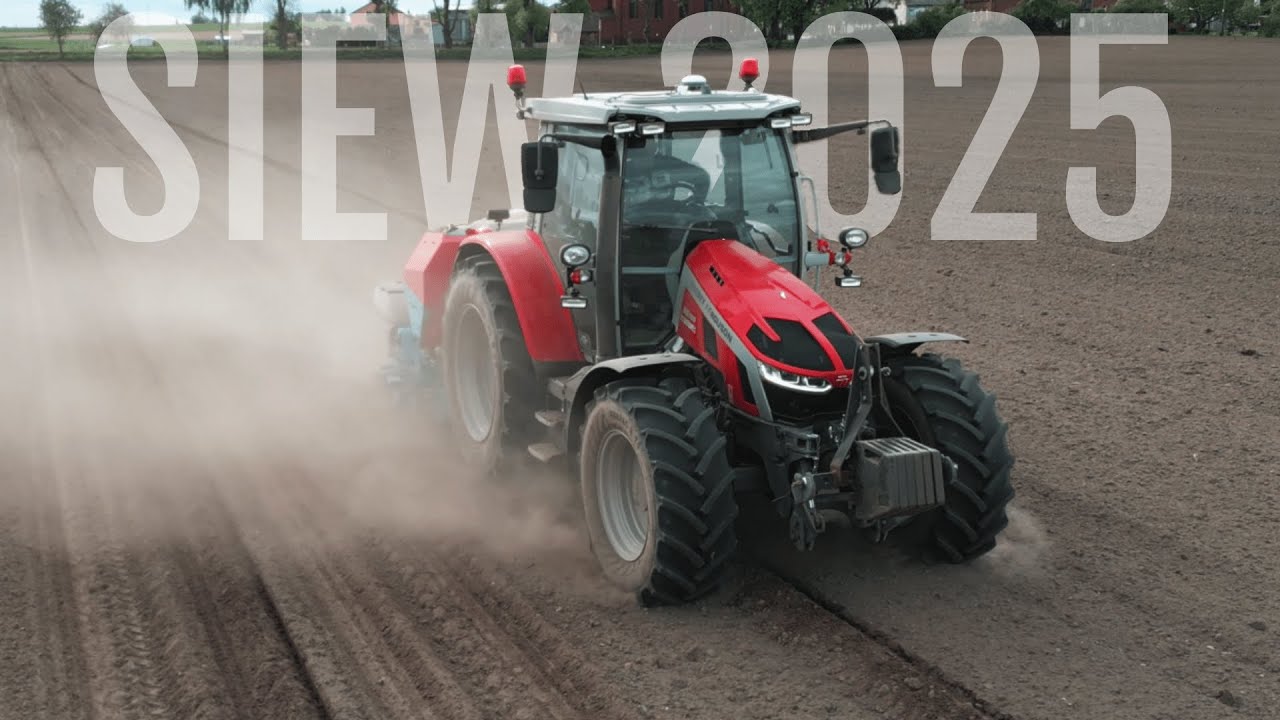 SIEW  KUKURYDZY 2025🌽 | Massey Ferguson 5s & Zetor Proxima 8441