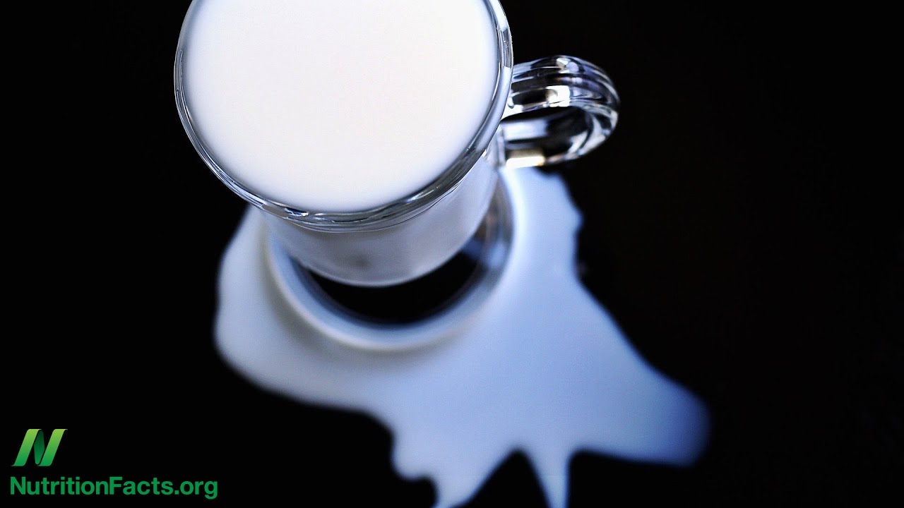 Does Paratuberculosis in Milk Trigger Type 1 Diabetes?