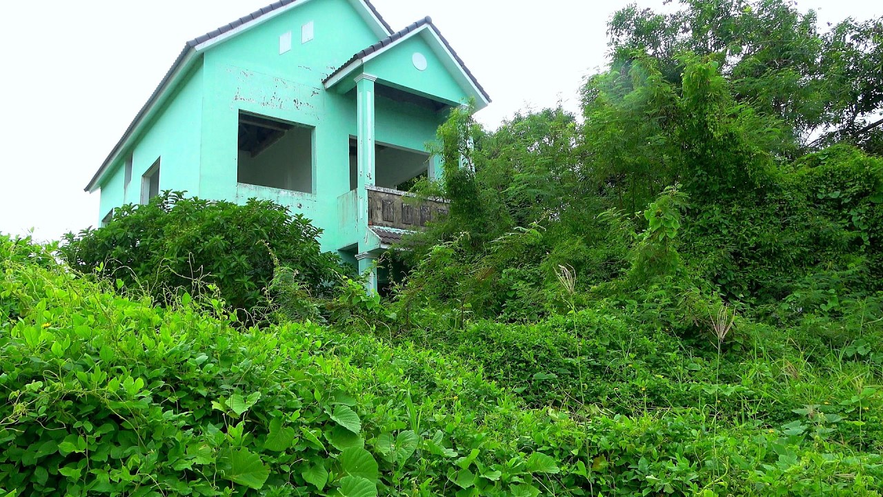 Inaccessible Abandoned House Guarded by Hundreds of Wasp Nests