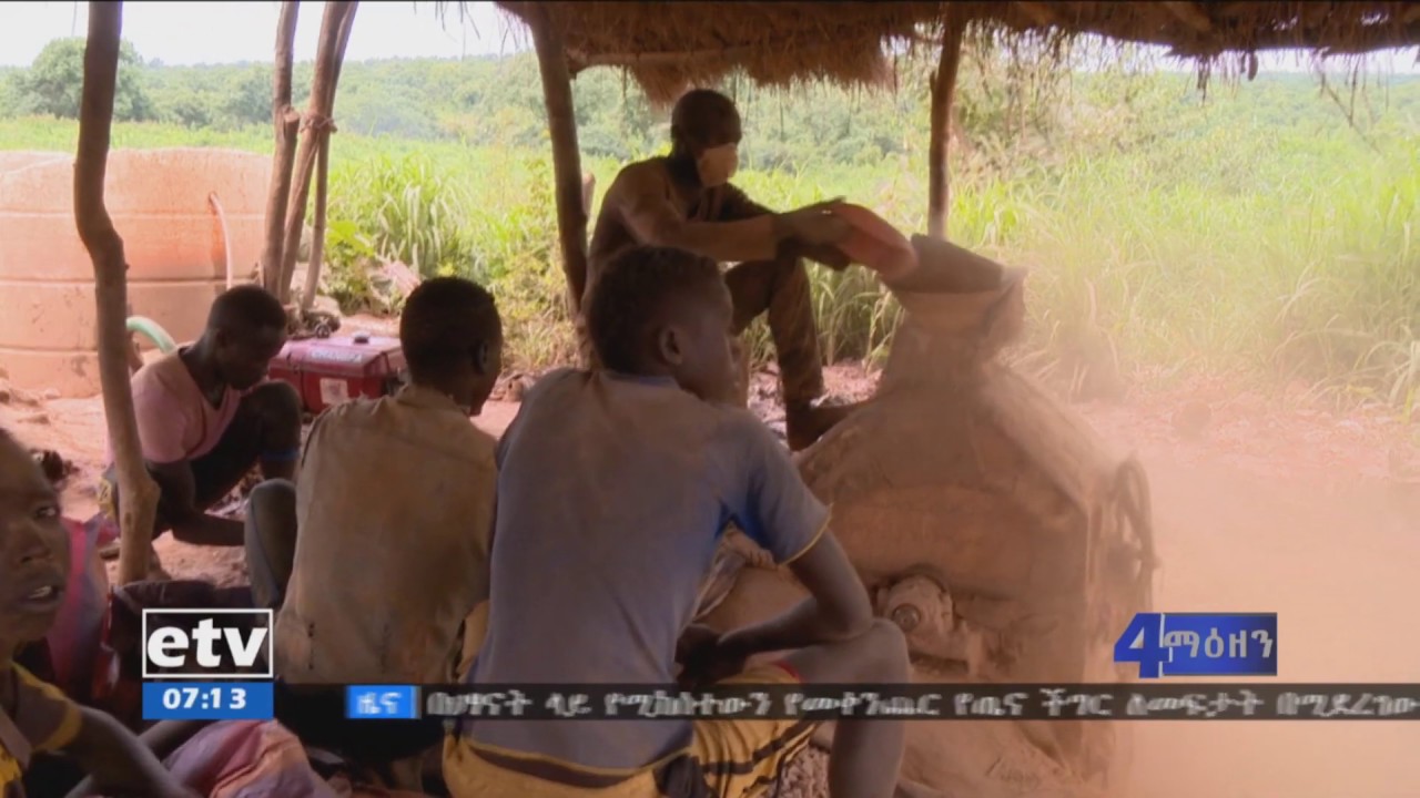 #etv የቤንሻንጉል ክልል የወርቅ ማጣሪያ ማሽን ፋብሪካ ግንባታ መጓተቱ ተገለጸ፡፡