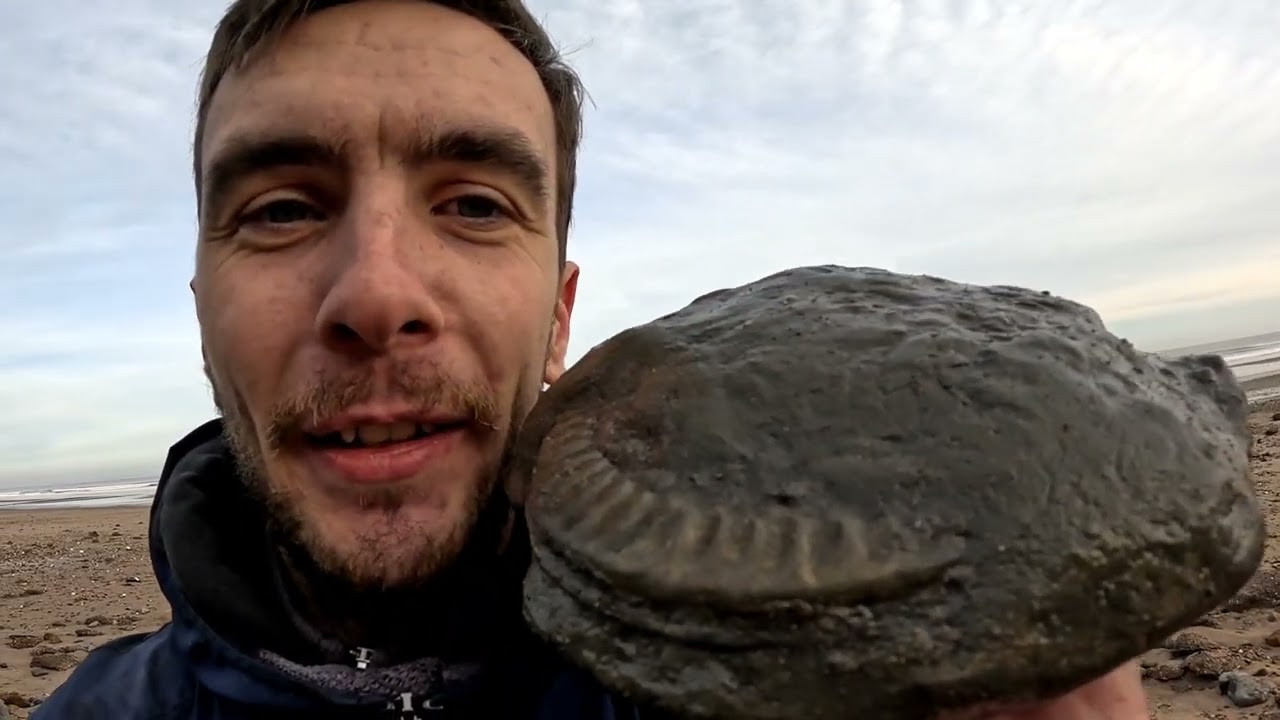 Unearthing Fossils on the Holderness Coast &ndash; Finding a Giant Golden Treasure!