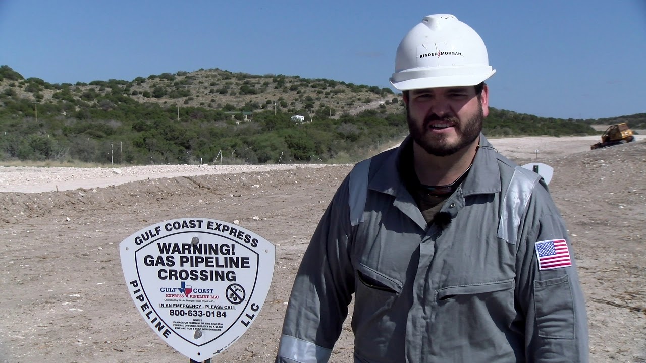 Protecting Threatened Plant Species in Texas