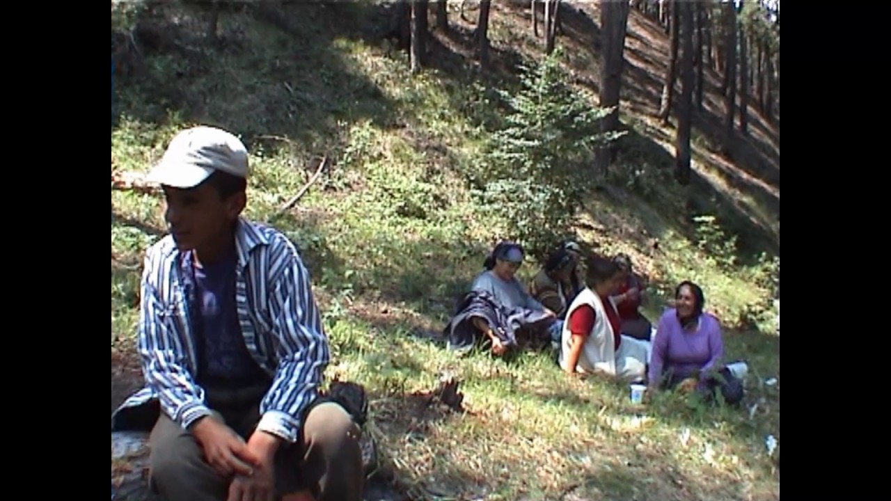 redsaray2003