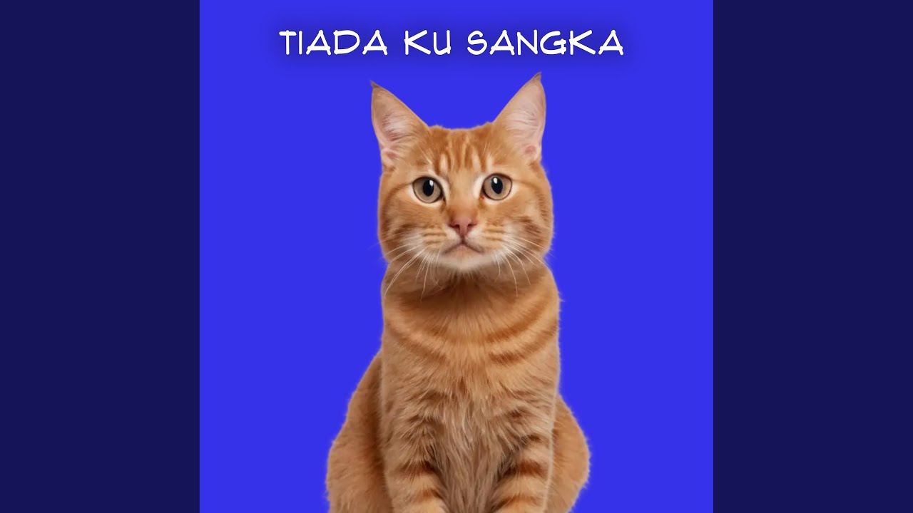 DJ TIADA KU SANGKA