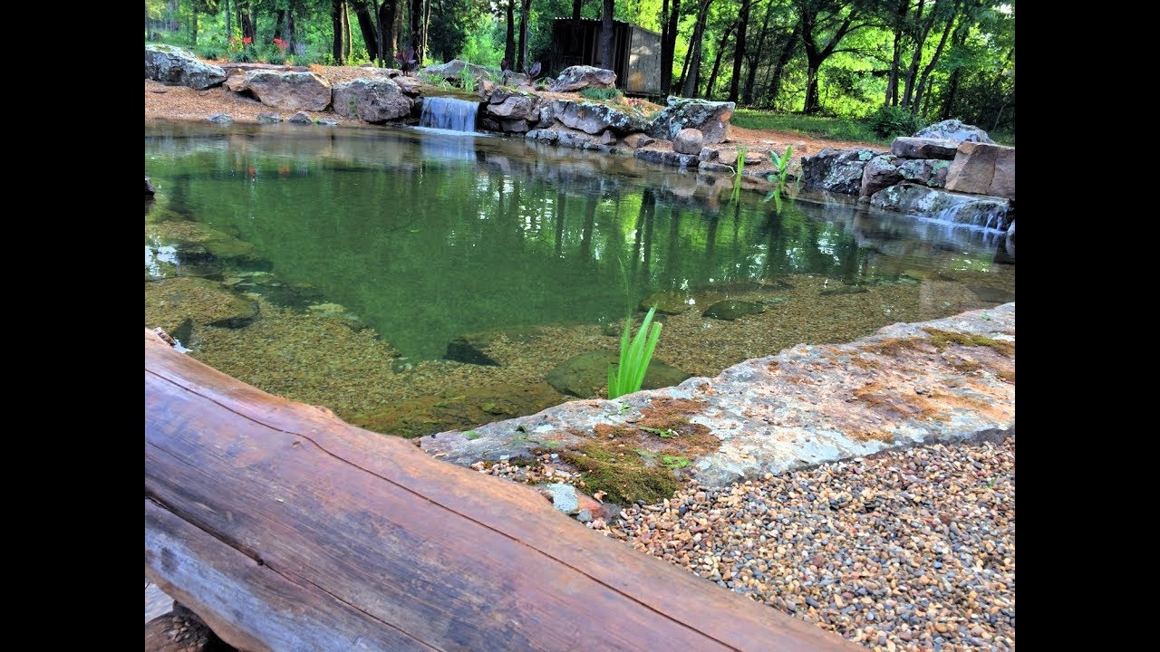 The Coolest SWIM POND we have Built! Crystal Clear Water with Low Maintenance