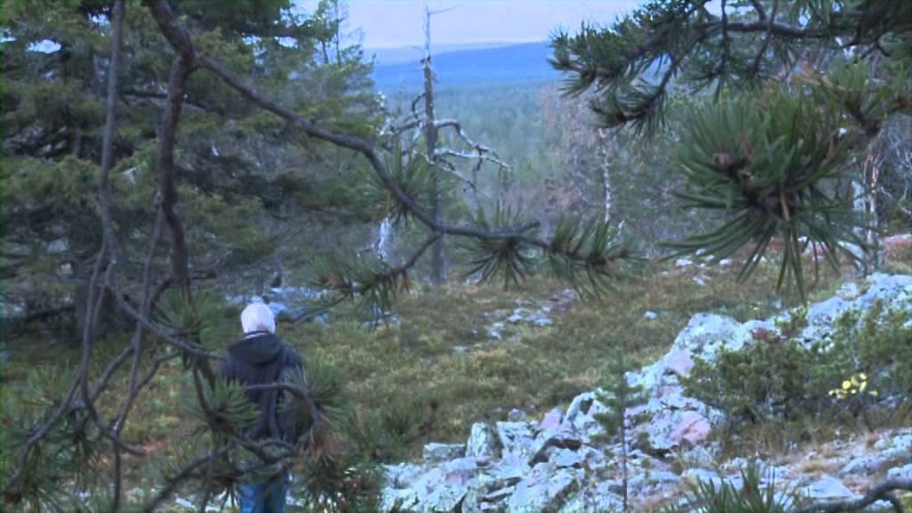 Erämaa Kari Vepsä