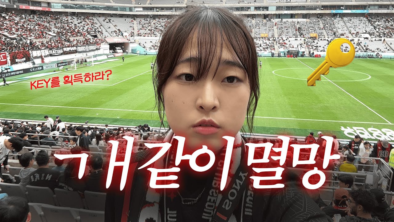 개같이 멸망한 FC서울 | 33R 포항전 | FC서울 팬브이로그 | 직관 브이로그