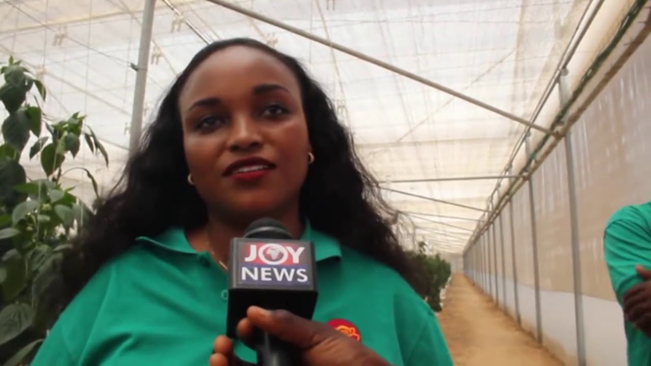 Kenyan air hostess takes to farming in Ghana