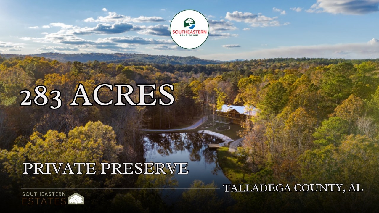 283 Acres of Private Mountain Paradise Bordering National Forest