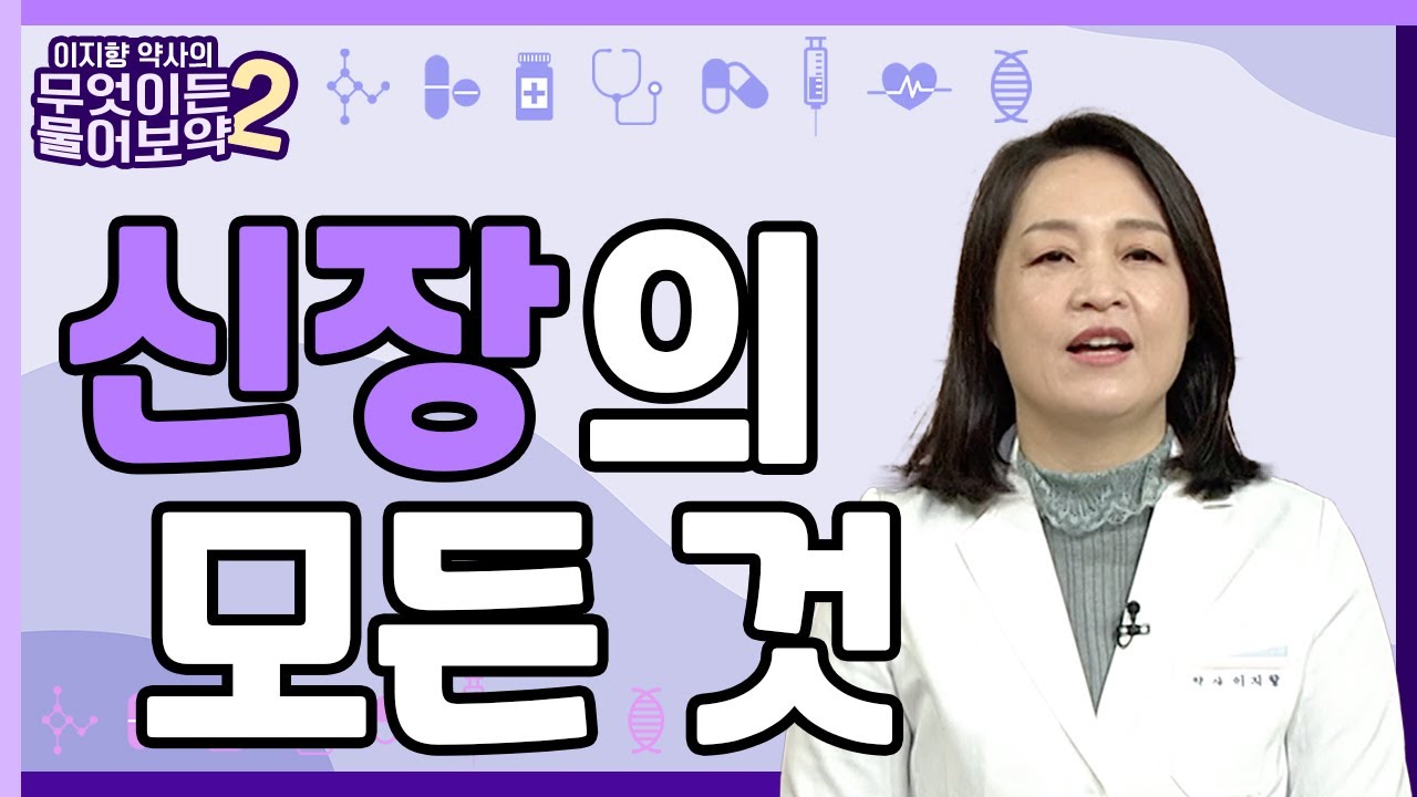 신장의 모든 것 [이지향약사의 무엇이든 물어보藥 2 20회]