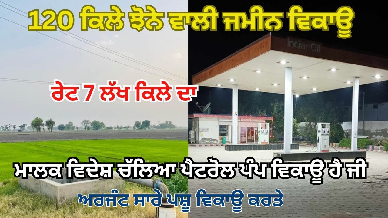 120 ਕਿਲੇ ਝੋਨੇ ਵਾਲੀ ਜਮੀਨ ਵਿਕਾਊ ਰੇਟ 7 ਲੱਖ ਕਿਲੇ ਦਾ ਤੇ ਅਰਜੰਟ ਸਾਰੇ ਪਸ਼ੂ ਵਿਕਾਊ ਕਰਤੇ,Petrol Pump for sale