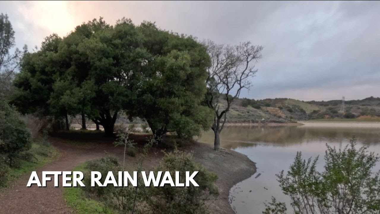 Tony Look Trail POV: Quiet Steps ASMR After Rain (Stevens Creek Park)