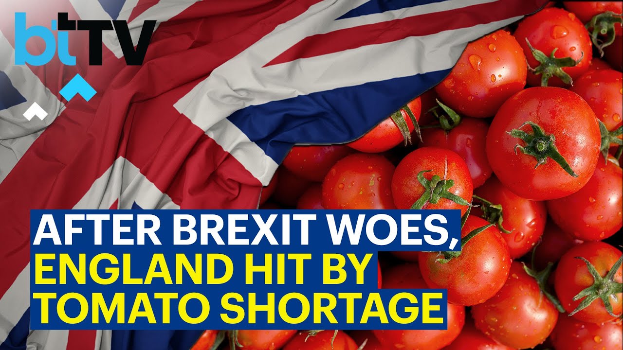 Tomato Shortage Hits British Supermarkets After Poor Weather Across Europe And Africa
