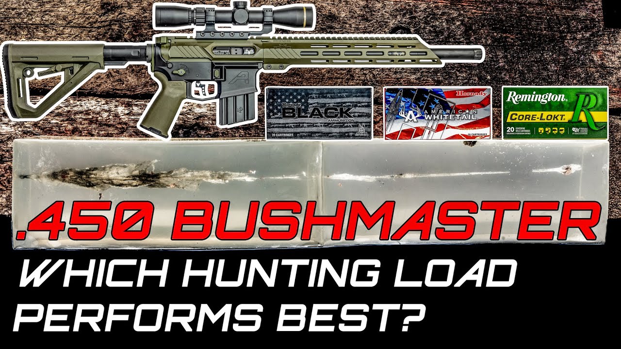 .450 Bushmaster AR-15 Ballistic Gel Test 100 & 200 Yards | 250gr FTX vs 245gr SP vs 260gr Core-Lokt