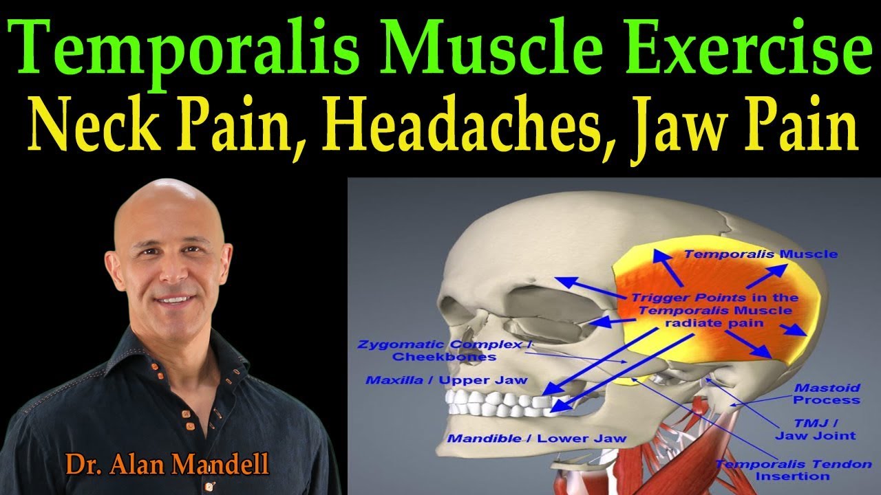 Temporalis Muscle Massage for Fast Pain Relief of Neck, Head, and Jaw  - Dr. Alan Mandell, D.C.