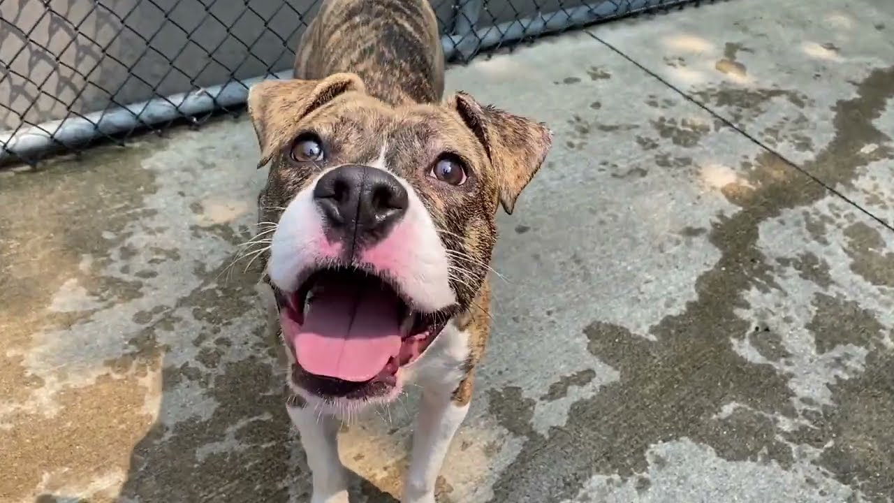 Sable update 6/14