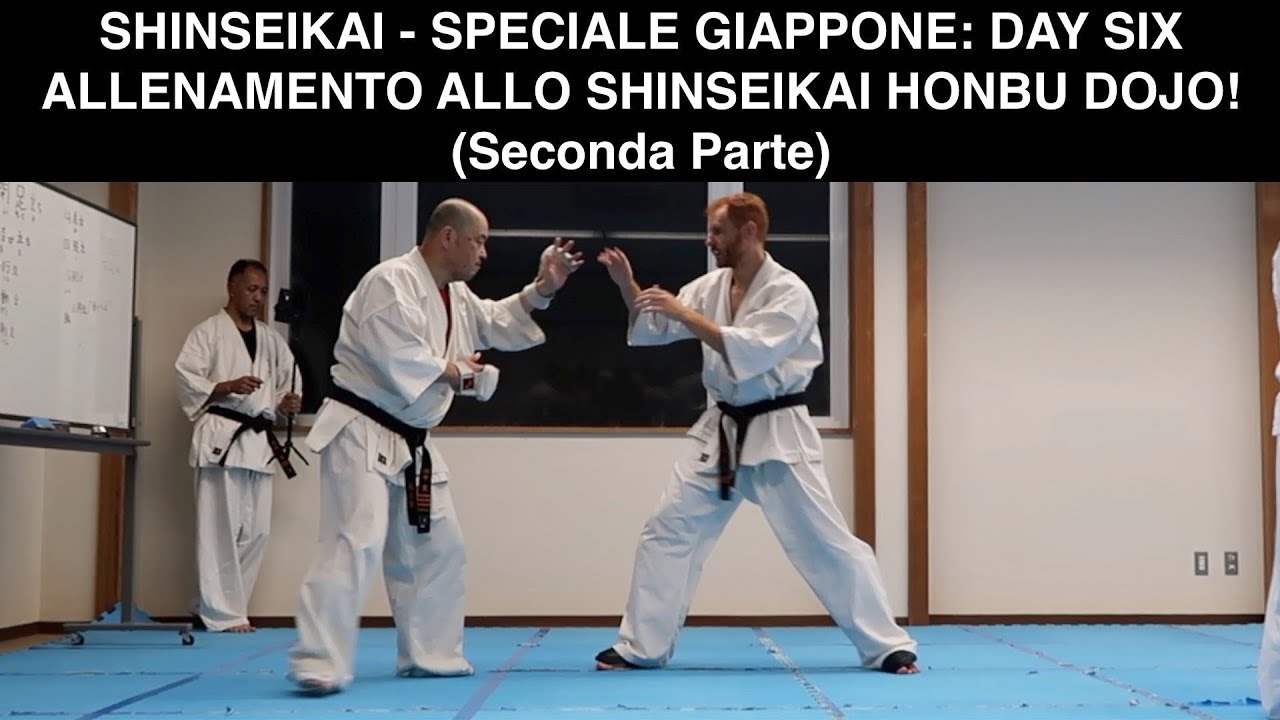 SHINSEIKAI - SPECIALE GIAPPONE: DAY SIX, ALLENAMENTO ALLO SHINSEIKAI HONBU DOJO! (Seconda Parte)