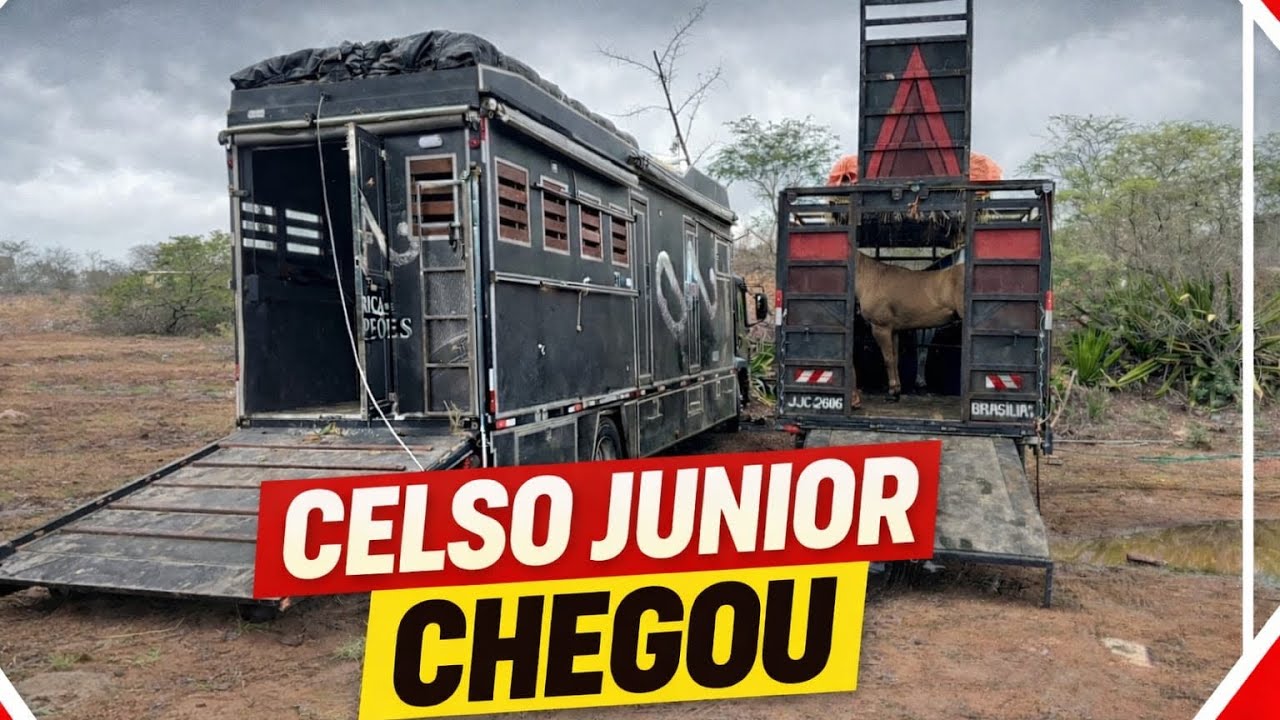 A CHEGADA DE CELSO JUNIOR NO HARAS WM ETAPA DO CAMPEONATO PORTAL 2026