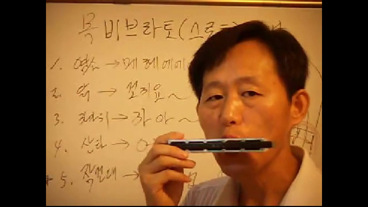하모니카 반주 : 감정이입의 꽃 - 스로트 주법(목비브라토주법)  C키