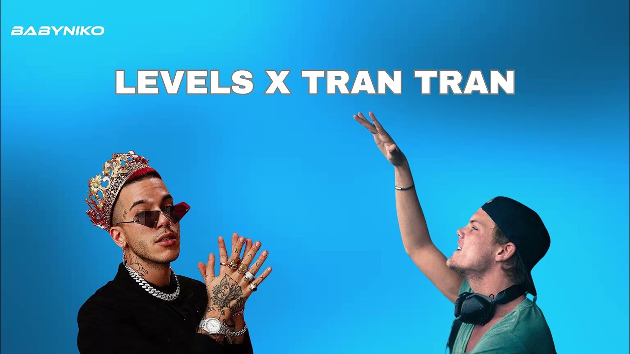 Levels x Tran Tran (Baby Niko Mashup)