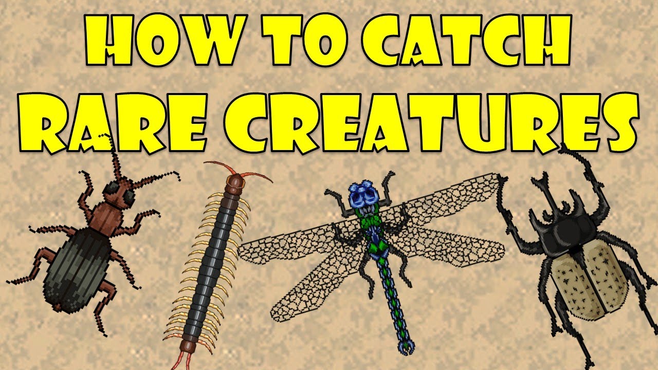 How to Catch Rare Creatures - Pocket Ants - Smart Daddy
