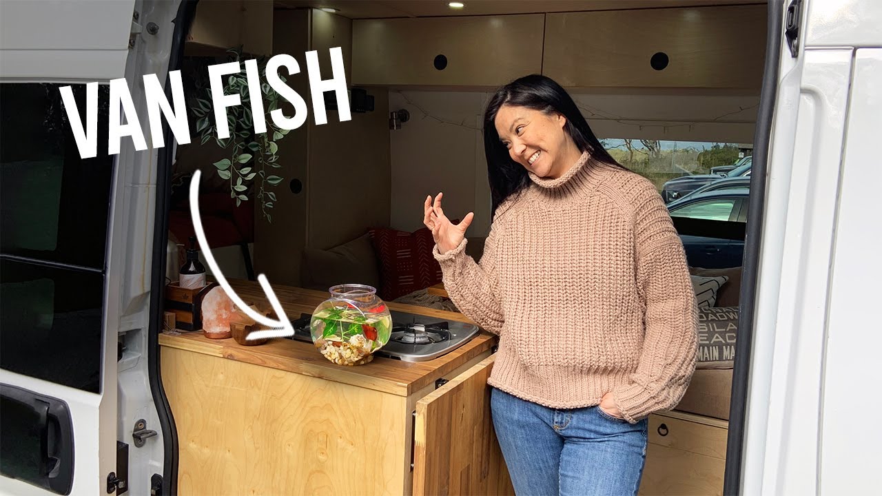These Unique Pets Live In A Van - Must See Vanlife Pets