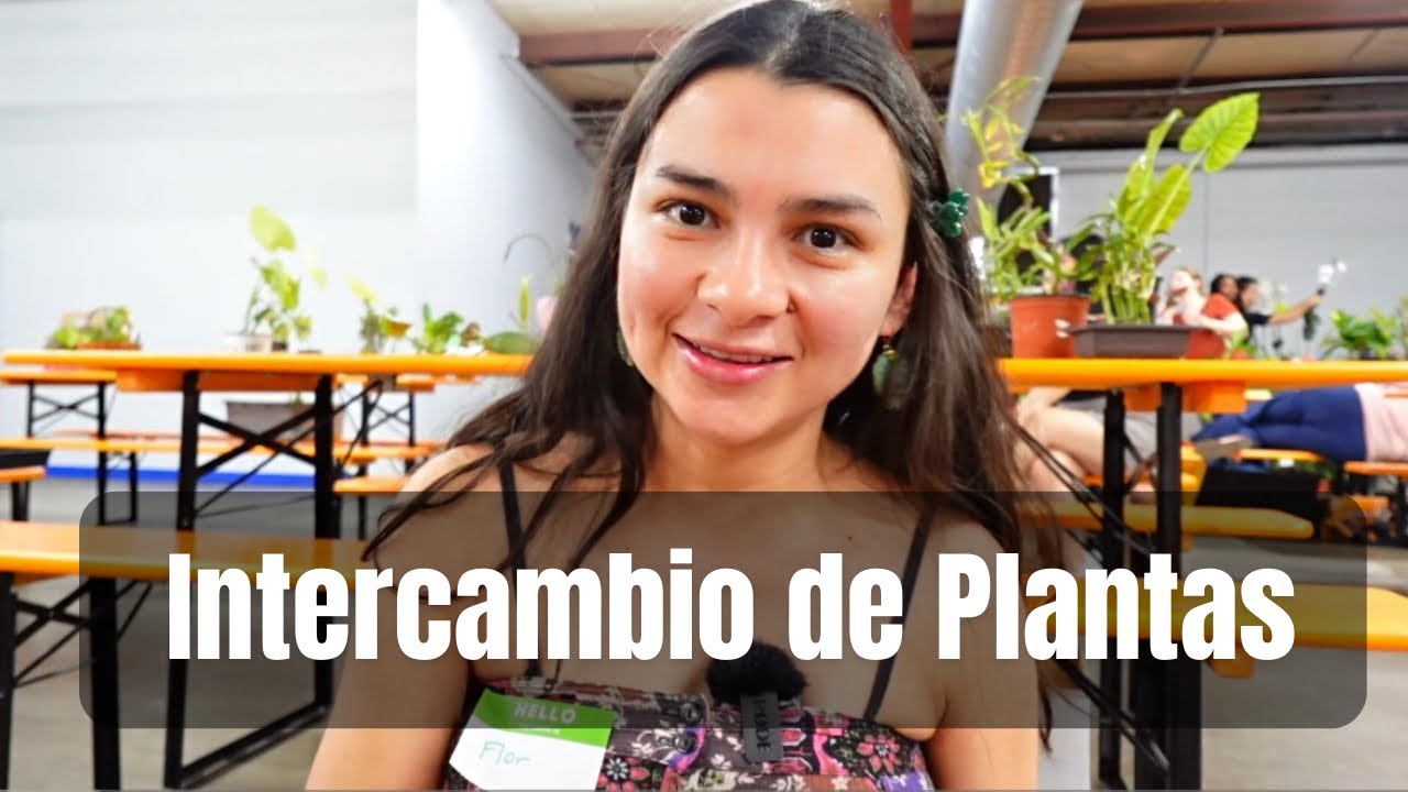 ✨INTERCAMBIO DE PLANTAS✨🌱🪴 (plant swap) #plantsmakepeoplehappy 