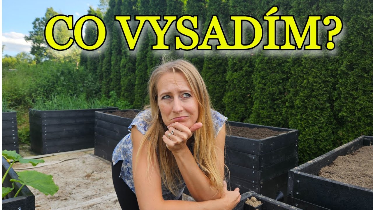 ZAHRADA A PĚSTOVÁNÍ | Co vysadím a vysévám v červnu do vyvýšených záhonů?