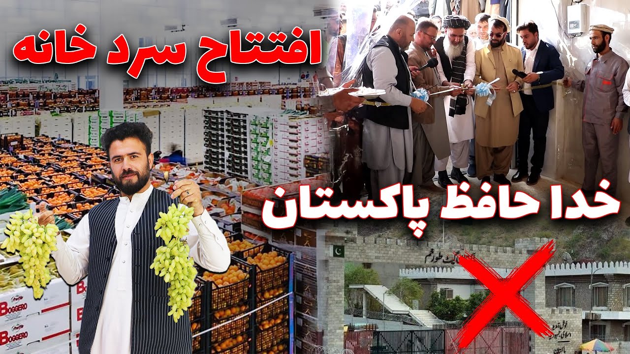 برای اولین بار در افغانستان - از این پس لازم نیست میوه های افغانستان به نام پاکستان صادر شود