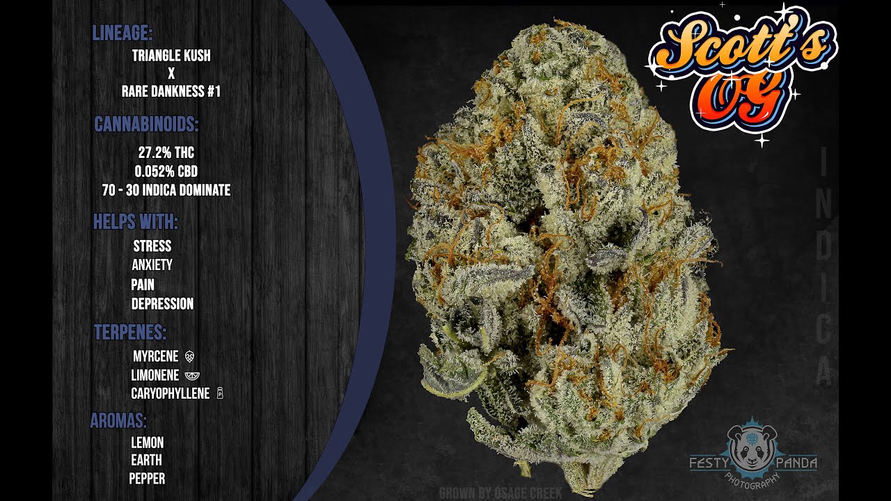 Scott's OG - Osage Creek Cultivation - A FestyPanda Strain Review.