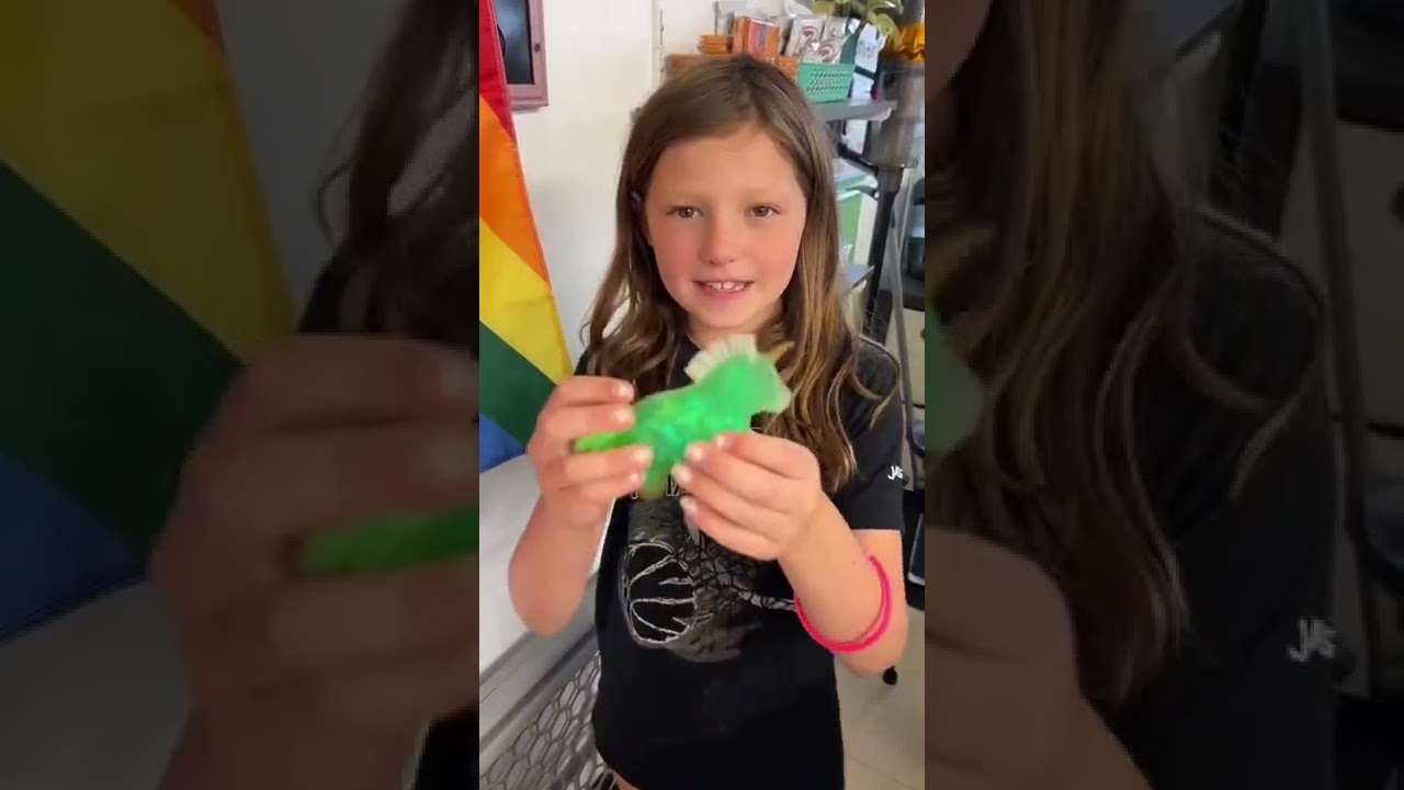What&rsquo;s your favorite fidget from my collection?! | Sierra Zagarri #shorts #fidgets