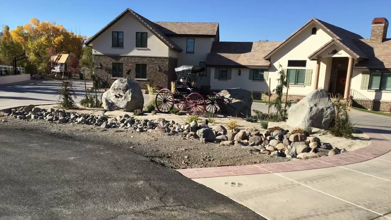 Fastest growing plants and trees!!! Reno Nevada