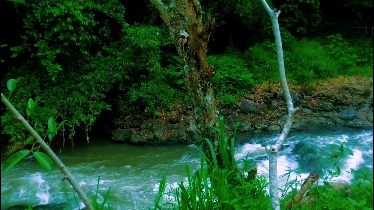 Relaxing River Sound calm water for sleep, stress relief, for yoga, for meditation