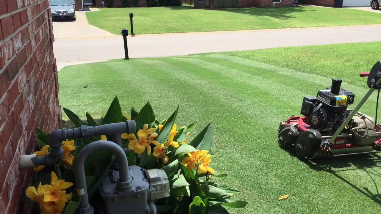 18 June - 7/16 HOC with Toro Greensmaster Flex21 Reel Mower