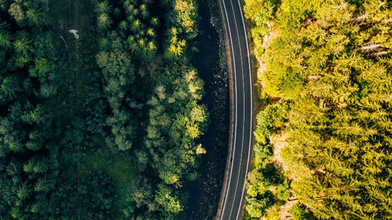 Bringing together computer and forest science for a better world