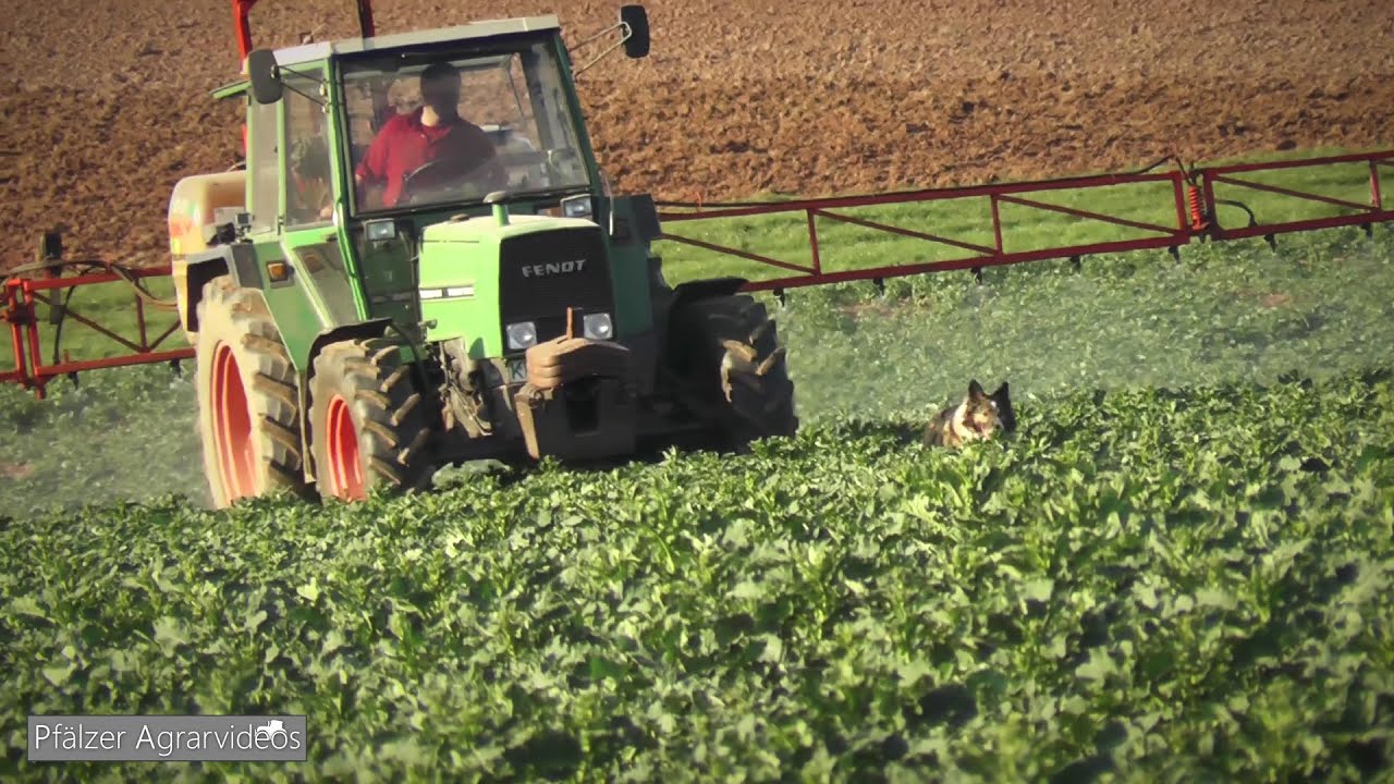 FENDT 306LS + JACOBY EUROSUPER ► Pflanzenschutz im Raps