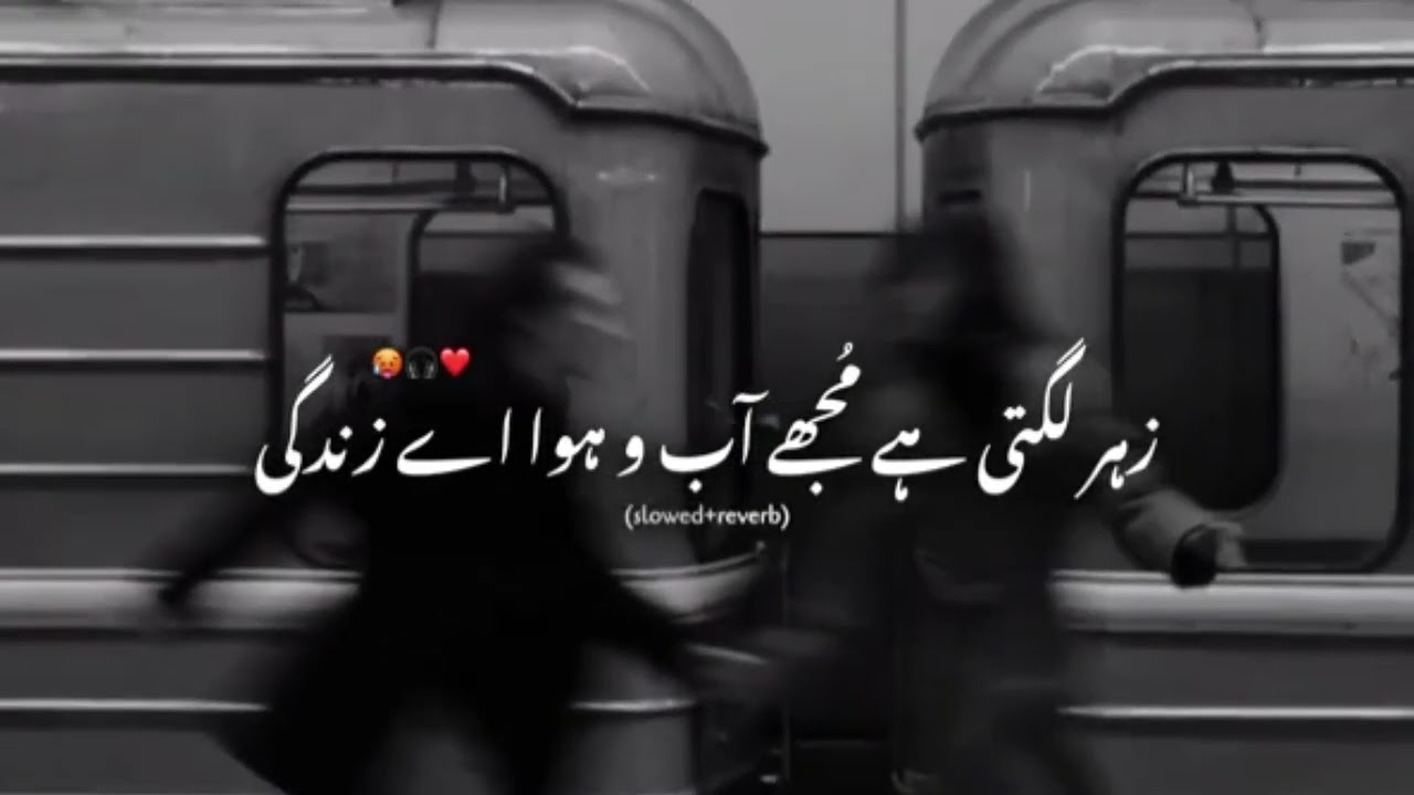jahar lagti hai mujhe Abu Hawa ye Zindagi ❤️♥️💔🫵